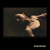 Wishbone