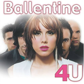 4U cover
