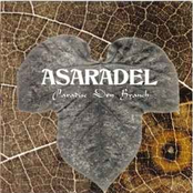 Paradise Dry Branch
