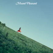 Mount Pleasant Commentary cover
