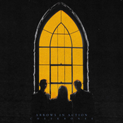 Arrows In Action – Cheekbones