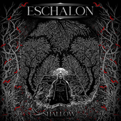 Shallow