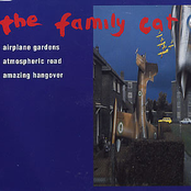 Airplane Gardens