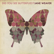 Did You See Butterflies?