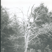 The Spirit of Autumn Past