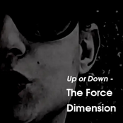 Up or Down