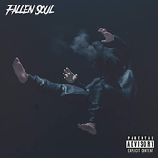Fallen Soul