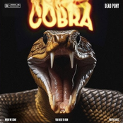 COBRA cover