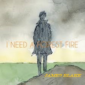 I Need A Forest Fire