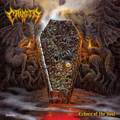 Crypta – Echoes of the Soul