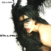 Into a Swan (remixes)