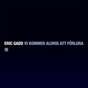 Vi kommer aldrig att förlora