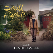 The Wise Man's Song (Original Theme from Small Prophets)
