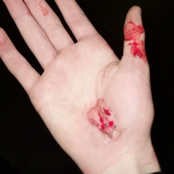 VIOLENCE