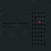 Private Enemy