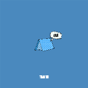 TREAM – Zelten auf Kies