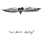 Our Plastic Destiny