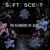 No Flowers in June