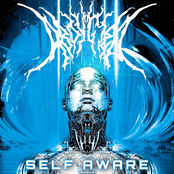 SELF AWARE
