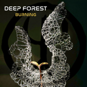 Burning