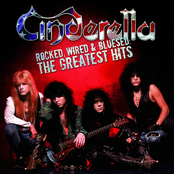 Rocked, Wired & Bluesed: The Greatest Hits