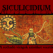 A rothadó virágok színüket vesztik
