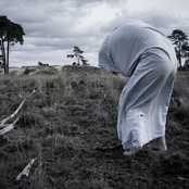 Shallow Pools of Grief