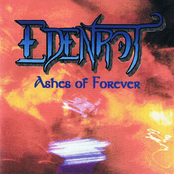 ashes of forever