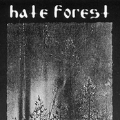 Temple Forest