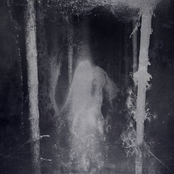Enshrouded by the Veil of Night