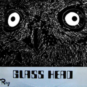 glass head