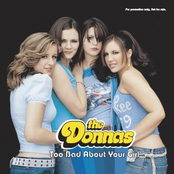 Too Bad About Your Girl cover