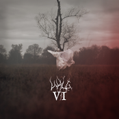 VI
