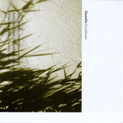Gazelle – Sunblown