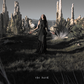 The Dark cover