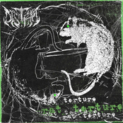 Rat Torture