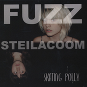 Fuzz Steilacoom cover