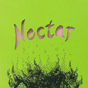 Nectar