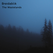 The Wastelands (remastered)