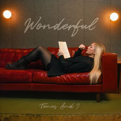 Wonderful cover