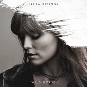 Wild Horse cover