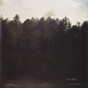 Into Darkening Woodland (Demo)