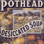 Pothead – Desiccated Soup