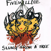 slung from a tree