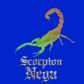 Scorpion Nega
