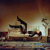 The Sofa cover