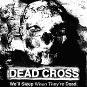 We'll Sleep When They're Dead