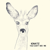 You Can't See Me