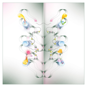 Mycelium Music