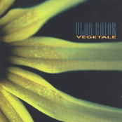 Ulan & Bator – Végétale